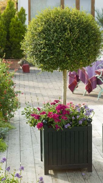 Versailles planter, french planters from l'orangerie of the palace of versailles, planter boxes, large outdoor planters, metal planters. Versailles Planters | Garden Artisans, LLC