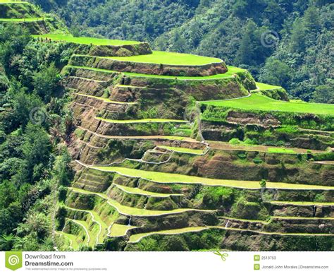 Painting the rice terraces from the philippines. Rice terraces clipart 20 free Cliparts | Download images ...
