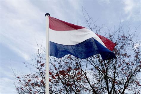 Uitgevoerd in drie banen slijtvast gloriedoek komt deze vlag het best tot zijn recht. Nederlandse vlag - Vlaggen en wimpels - Formenta