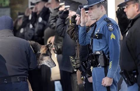 Video La Emotiva Despedida A Un Perro Policía Antes De Ser Sacrificado