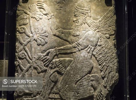 Assyrian Reliefs At The Vatican Museum Winged Genius Kneeling Front Of