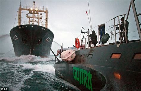 £4m Super Ship Claims First Victory As Japan Suspends Whaling After