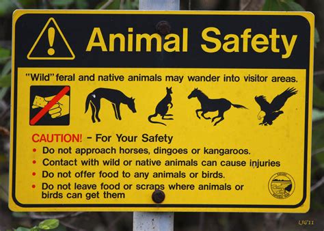 Animal Safety This Is Actually Animal Safety And Flickr