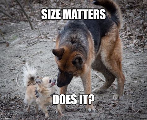 Size Matters Imgflip