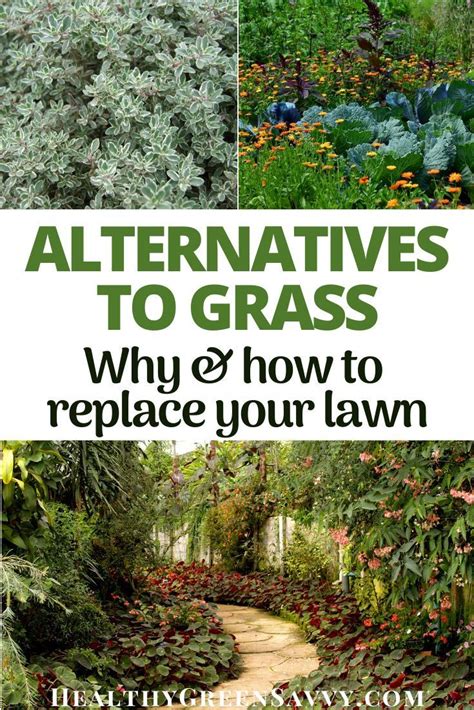 Grass Alternatives Why And How To Replace Your Lawn Grass Alternative