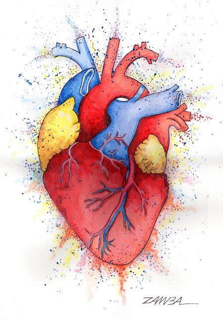 10 Ideas De Corazón Humano Corazón Humano Arte De Anatomía Arte De