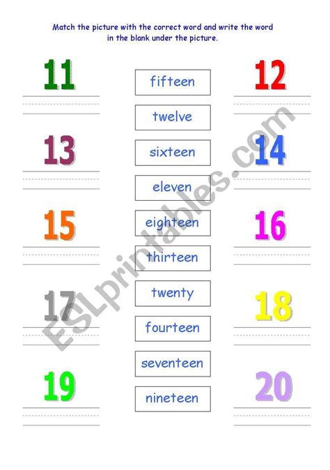 Numbers 11 20 Esl Worksheet By Becia