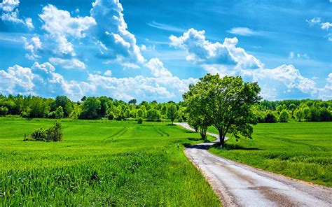 Free Download Download Wallpapers Nature Landscape Beautiful Summer Day
