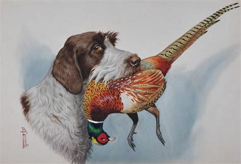 A German Wirehaired Pointer With Pheasant By Boris Riab