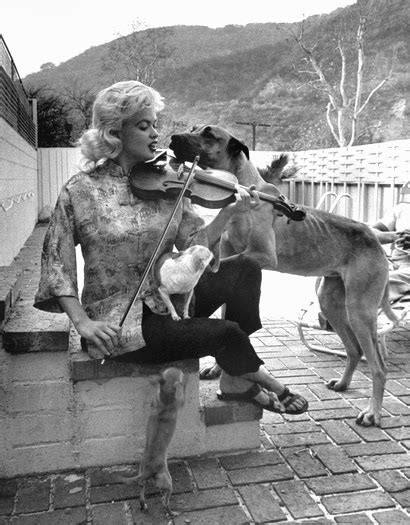Vintage Doggy Jayne Mansfield And Her Dogs