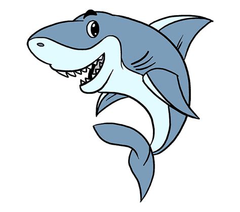 How To Draw A Cartoon Shark Easy Step By Drawing Guides Png