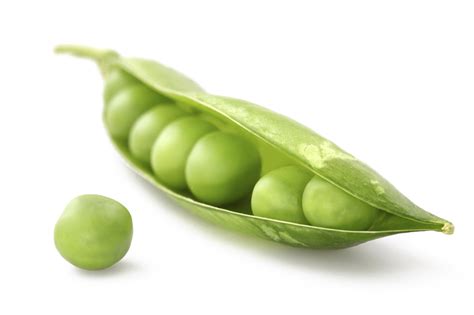 Pea Png Image Transparent Png Arts