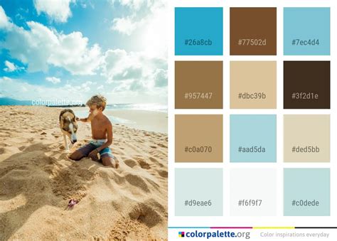 Beach Palette