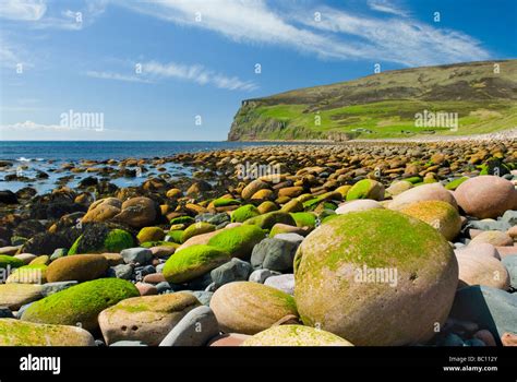 Giant Rounded Cobblestones Lining The Beach At Rackwick Isle Of Hoy