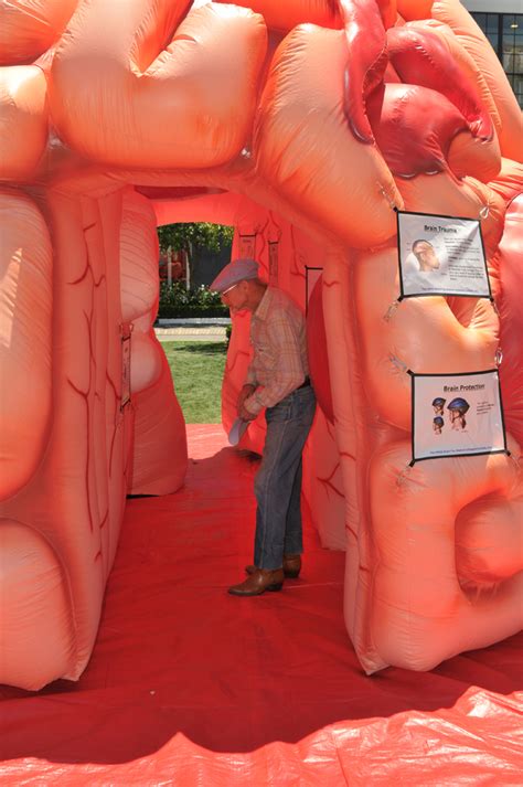 Inflatable Brain Exhibit For Healthcare Events The Mega Brain