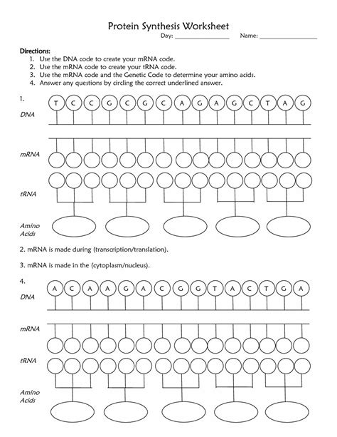 At first, it might seem like there are only seven different questions, but after you have done your very first test, there will be fourteen different test types. Dna Mutations Practice Worksheet