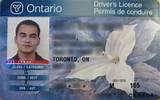 Pictures of How To Get A Class B Driver''s License