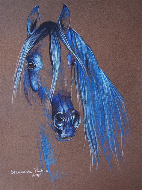 Arabian Horse Pastel By Paulina Stasikowska