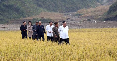 According to a report by the korea. North Korea Is Facing a 'Tense' Food Shortage - News Concerns