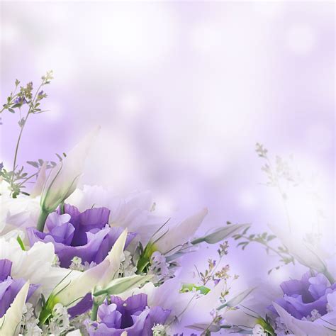 Funeral Wallpapers Top Free Funeral Backgrounds Wallpaperaccess