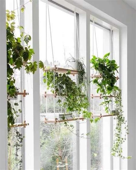 20 Neat And Practical Indoor Window Shelf Ideas For Plants Hanging
