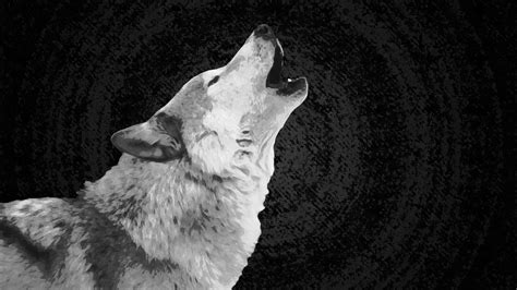 We have 77+ amazing background pictures carefully picked by our community. Wolf and Moon Wallpaper (67+ images)