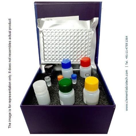 Bradford Protein Colorimetric Assay Kit At Rs 16240kit Elisa Kits In