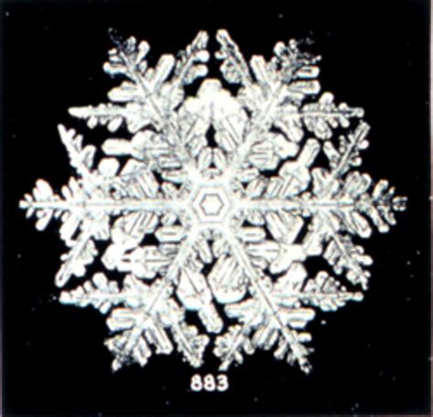 How Do Snowflakes Form The Science Behind Snow Soundings Online