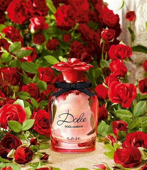 Dolce Rose Dolceandgabbana Perfume A Novo Fragrância Feminino 2021