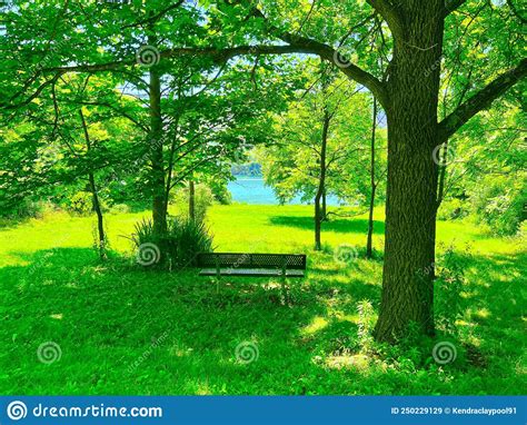Summertime Scenery In Pennsylvania Stock Image Image Of Places Area