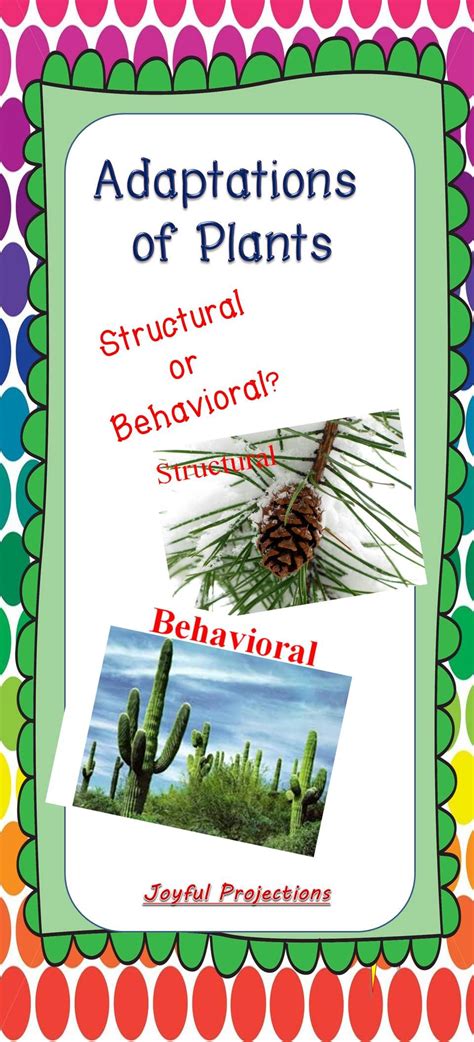 Just Like Animals Plants Have Structural And Behavioral Adaptations