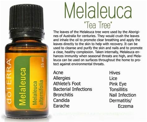 Doterra Melaleuca Essential Oil Products By Thenaturesnookshop