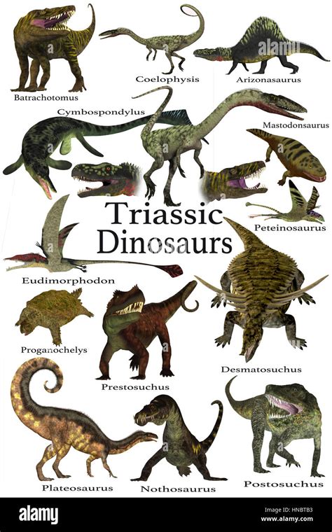 Triásico Dinosaurios Una Colección De Varios Dinosaurios Y Animales