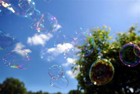 Summer Bubbles Shot Of Some Bubbles Outside My Place Came Flickr