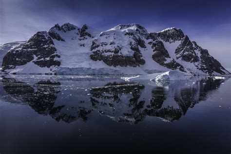 19 Best Things To Do In Antarctica In 2024 Explorelearnmore