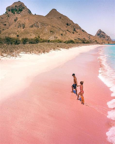 Pink Beach Indonesia Pink Sand Beaches Komodo National Park Dream
