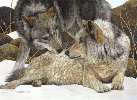 Judy Larson ~ The Art Of Concealment ~ Wildlife Artist Bev Doolittle Hidden Images