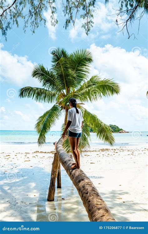Seychelles Tropical Island With Palm Trees And White Beach Young Woman