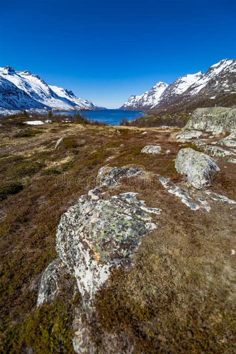 Amazing Natural Landscape In Northern Norway Scandinavia Europe Stock
