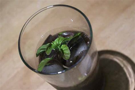 The Best Chocolate Mint And Lime Mojito Recipe Foodal