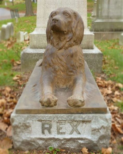 A 100 Years Old Dogs Grave Receives Heartfelt Tributes With Sticks In