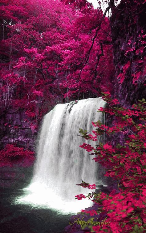 434 Best Animated Waterfalls Images On Pinterest