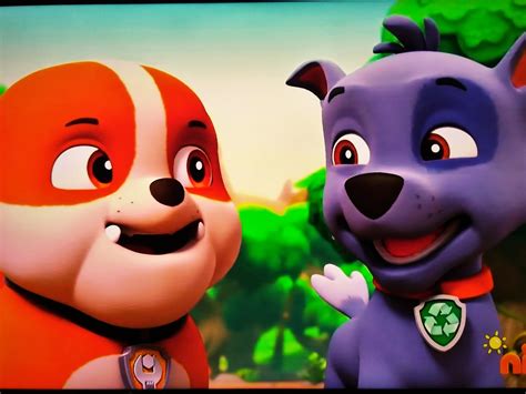 Rocky And Rubble Paw Patrol Relation Ship Wiki Fandom