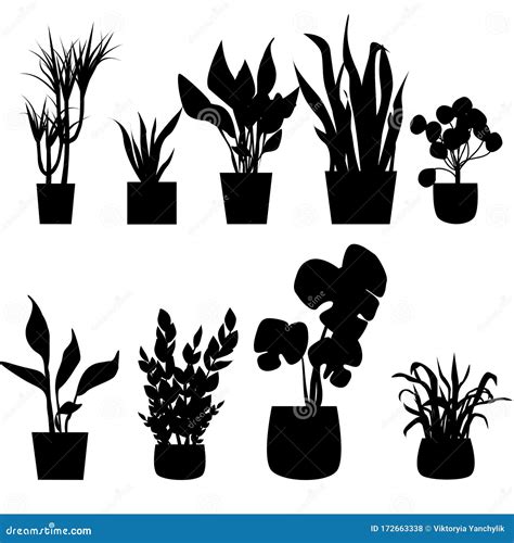 Set Of Silhouettes House Plants In Pots Vector Illustration Stock