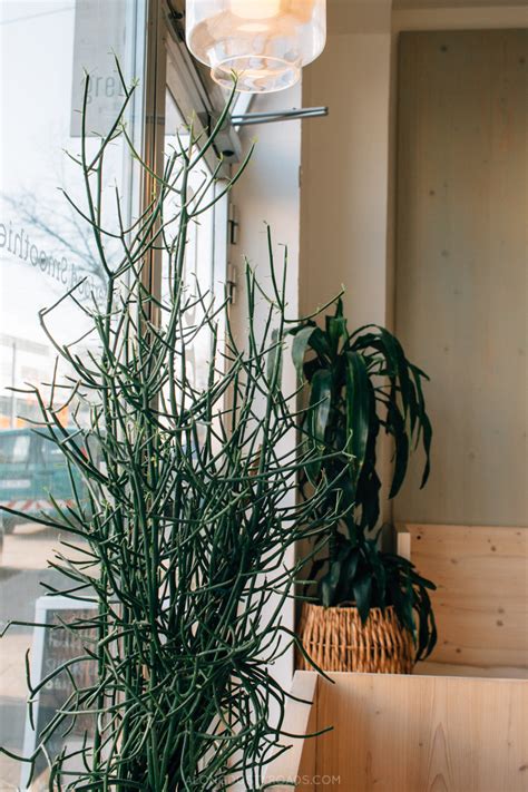 Great Places to Eat and Drink in Düsseldorf — ALONG DUSTY ...