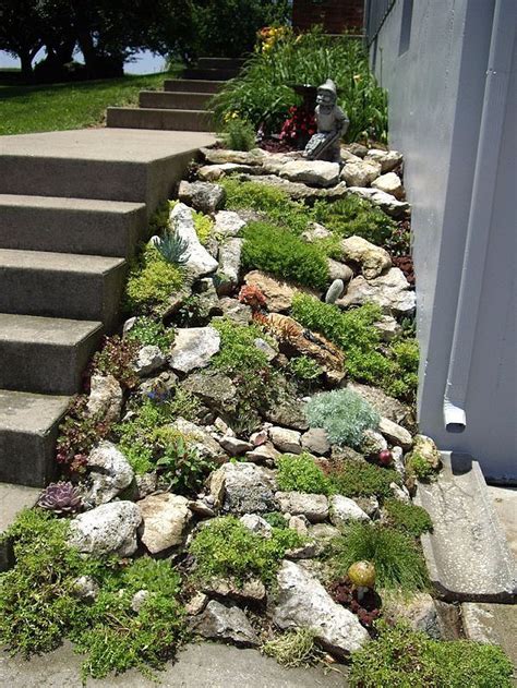 Some Rocks And Plants Are Growing On The Side Of A Concrete Step