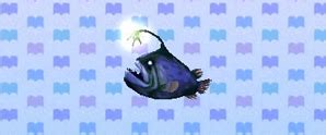 I caught a football fish! Image - FootballFish.jpg | Animal Crossing: New Leaf Wiki ...