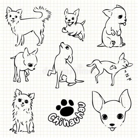 Chihuahua Pies Ilustracji Ilustracja Złożonej Z Kresk 61975776