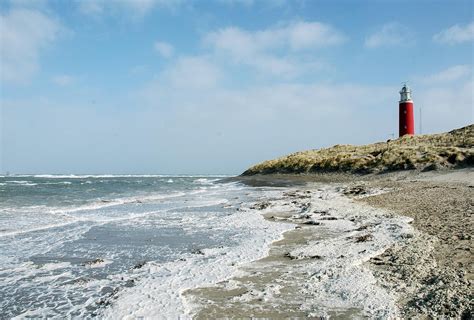 Tweemaal per dag worden wadplaten overspoeld en. Dagtocht zeehonden Waddenzee | Partyvaart Harlingen