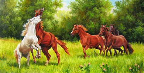Horses Running In The Meadow Image Abyss